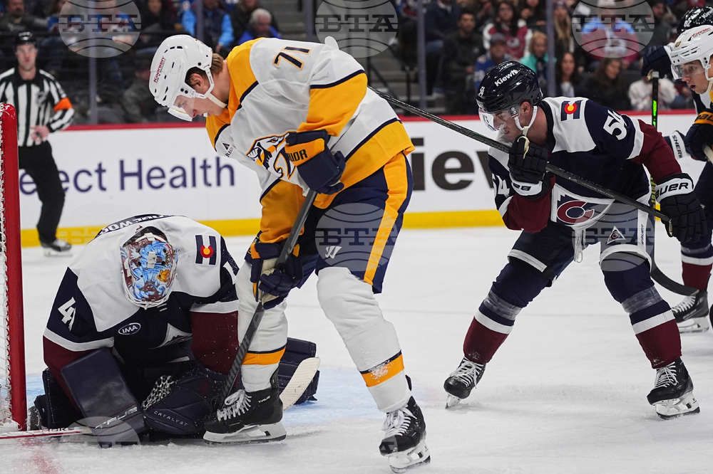 Predators Avalanche Hockey