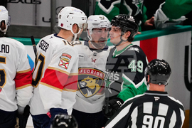 Panthers Stars Hockey