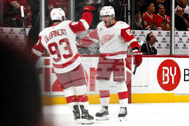 Red Wings Blackhawks Hockey