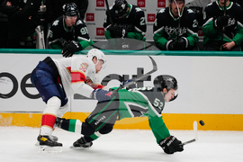 Panthers Stars Hockey