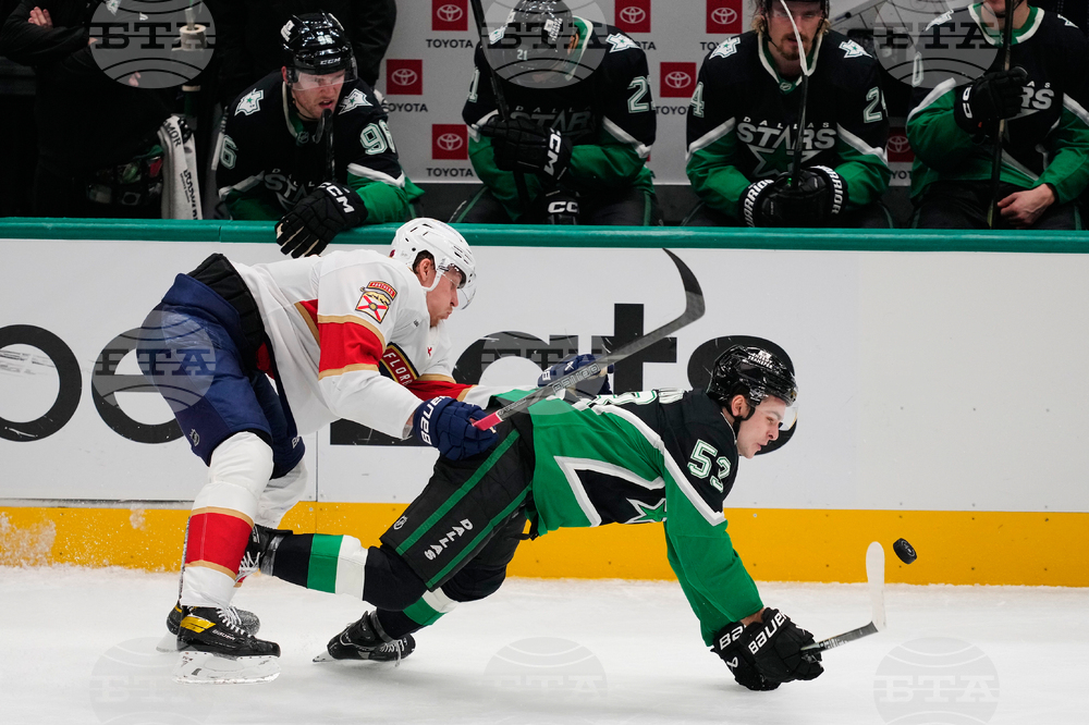 Panthers Stars Hockey