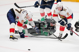 Panthers Stars Hockey