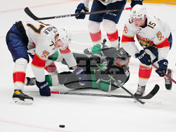 Panthers Stars Hockey