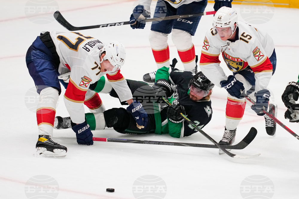 Panthers Stars Hockey