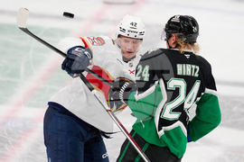 APTOPIX Panthers Stars Hockey