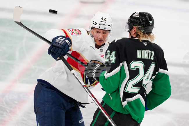 APTOPIX Panthers Stars Hockey