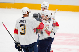 Panthers Stars Hockey