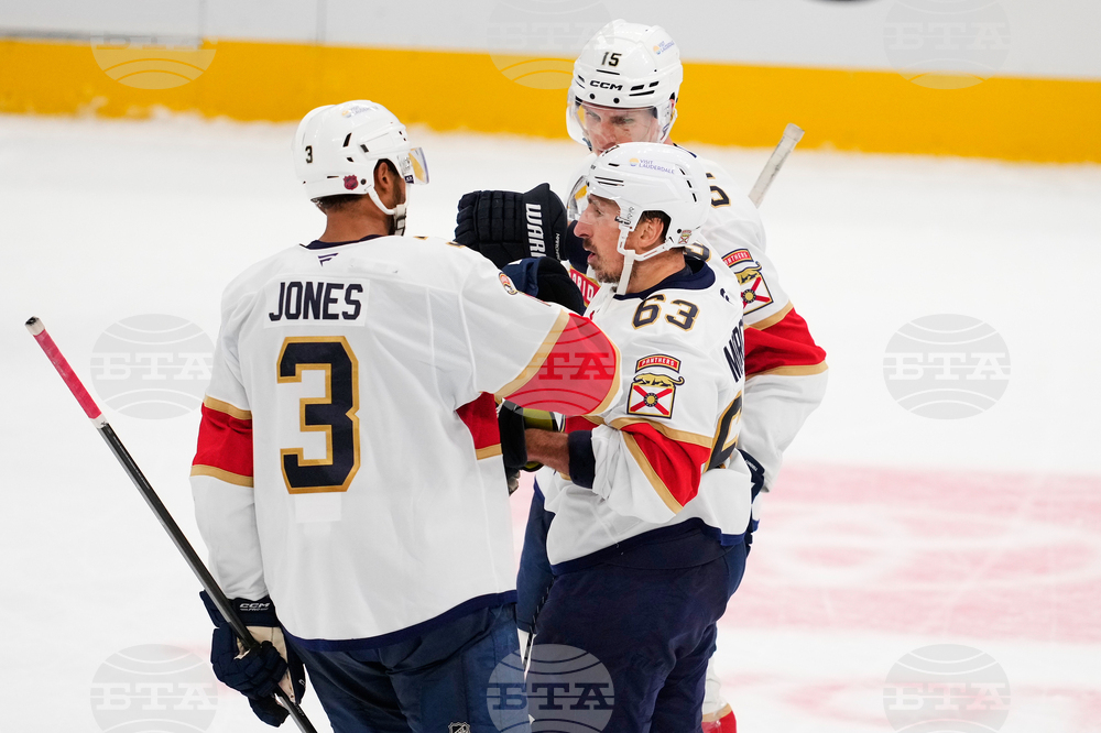 Panthers Stars Hockey