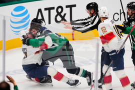 Panthers Stars Hockey