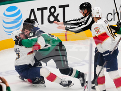 Panthers Stars Hockey