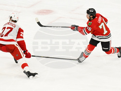 Red Wings Blackhawks Hockey