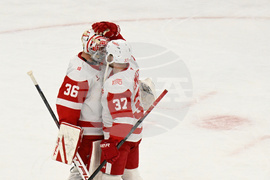 Red Wings Blackhawks Hockey