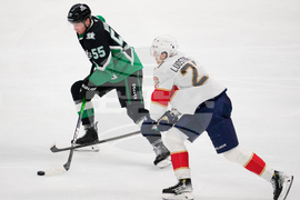 Panthers Stars Hockey