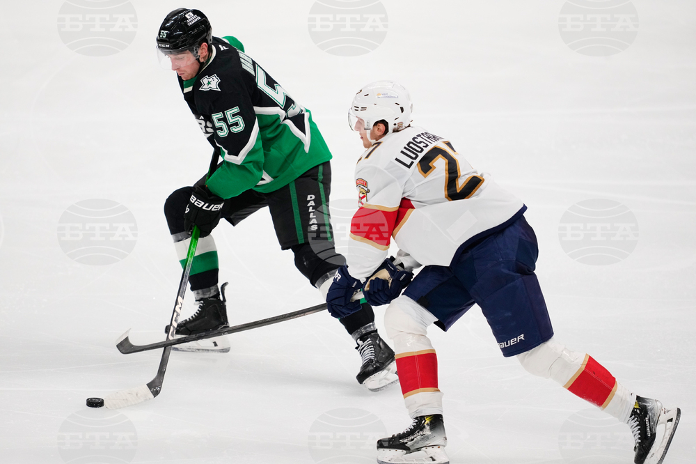 Panthers Stars Hockey