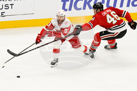 Red Wings Blackhawks Hockey