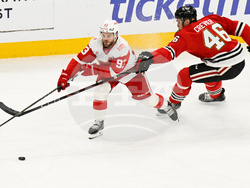 Red Wings Blackhawks Hockey