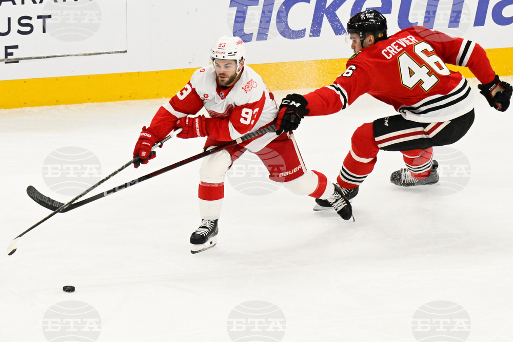 Red Wings Blackhawks Hockey