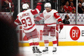 Red Wings Blackhawks Hockey