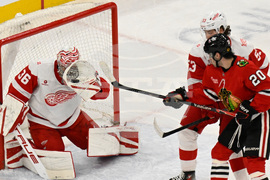 Red Wings Blackhawks Hockey