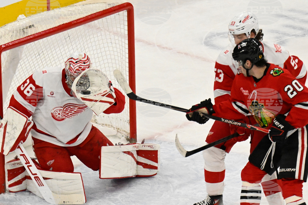 Red Wings Blackhawks Hockey