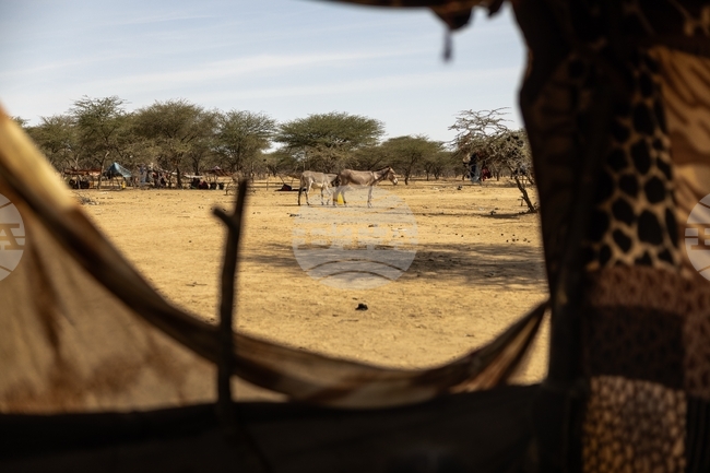 Mali Russia Africa Corps Sexual Assault