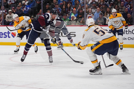 Predators Avalanche Hockey