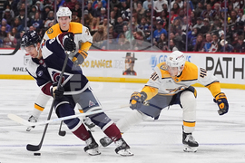 Predators Avalanche Hockey