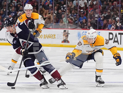 Predators Avalanche Hockey