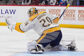 Predators Avalanche Hockey