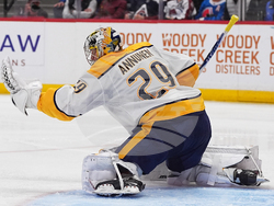 Predators Avalanche Hockey