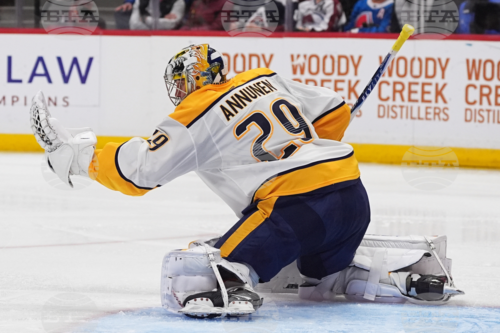 Predators Avalanche Hockey