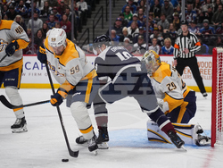 Predators Avalanche Hockey