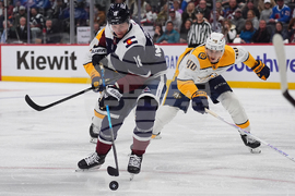 Predators Avalanche Hockey