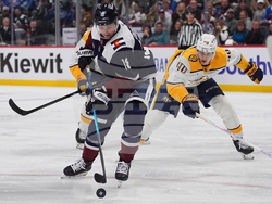 Predators Avalanche Hockey