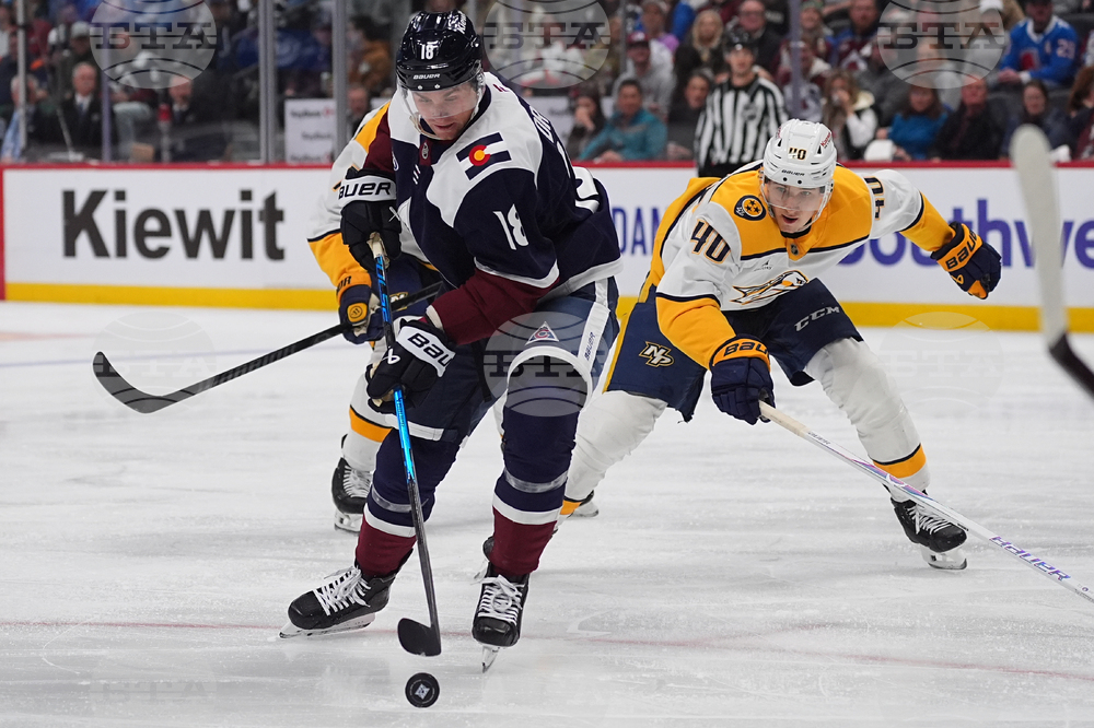 Predators Avalanche Hockey