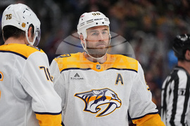 Predators Avalanche Hockey