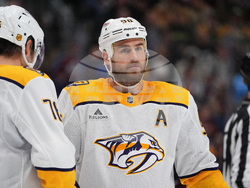 Predators Avalanche Hockey