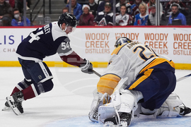 Predators Avalanche Hockey