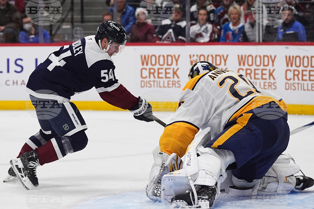 Predators Avalanche Hockey