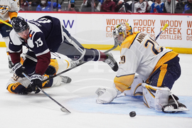 Predators Avalanche Hockey