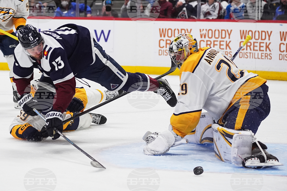 Predators Avalanche Hockey