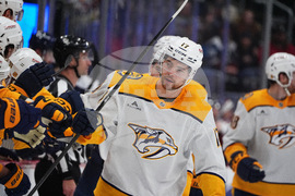 Predators Avalanche Hockey