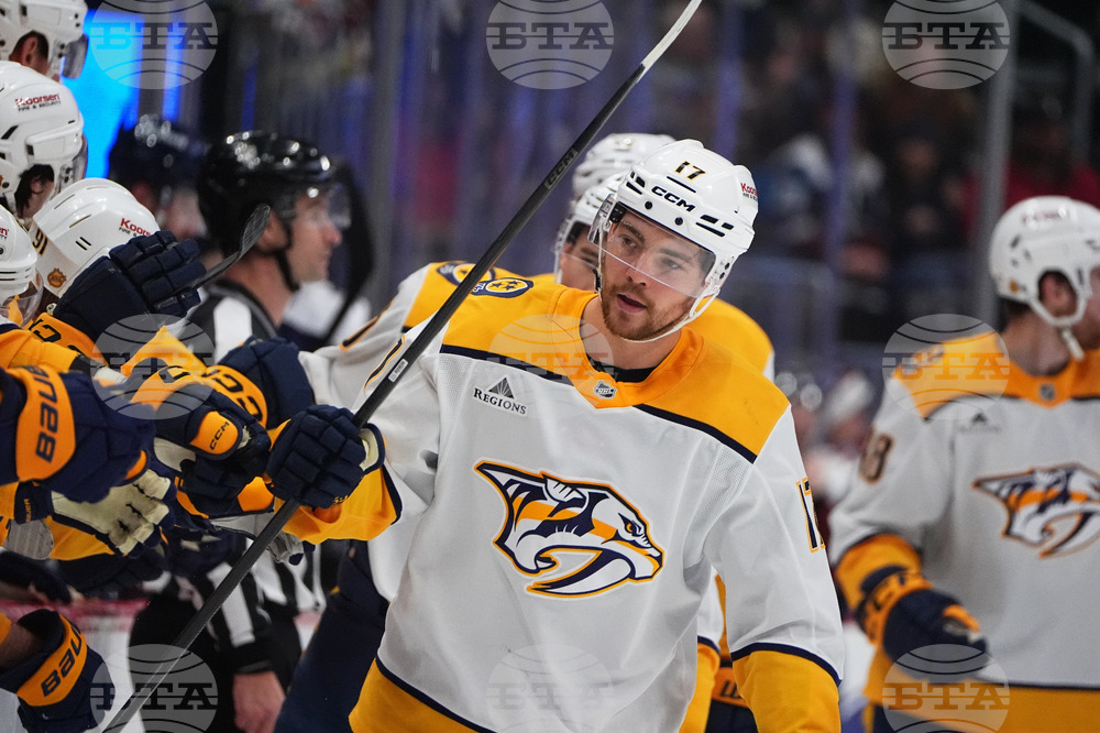 Predators Avalanche Hockey