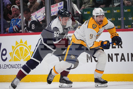 Predators Avalanche Hockey