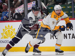 Predators Avalanche Hockey