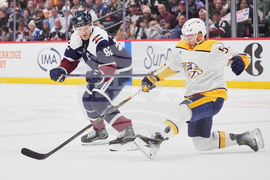 Predators Avalanche Hockey