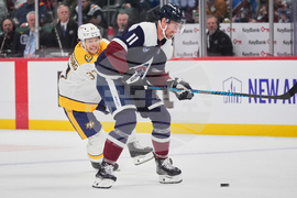 Predators Avalanche Hockey