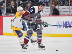 Predators Avalanche Hockey