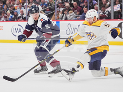Predators Avalanche Hockey