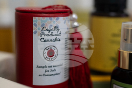 Morocco Cannabis